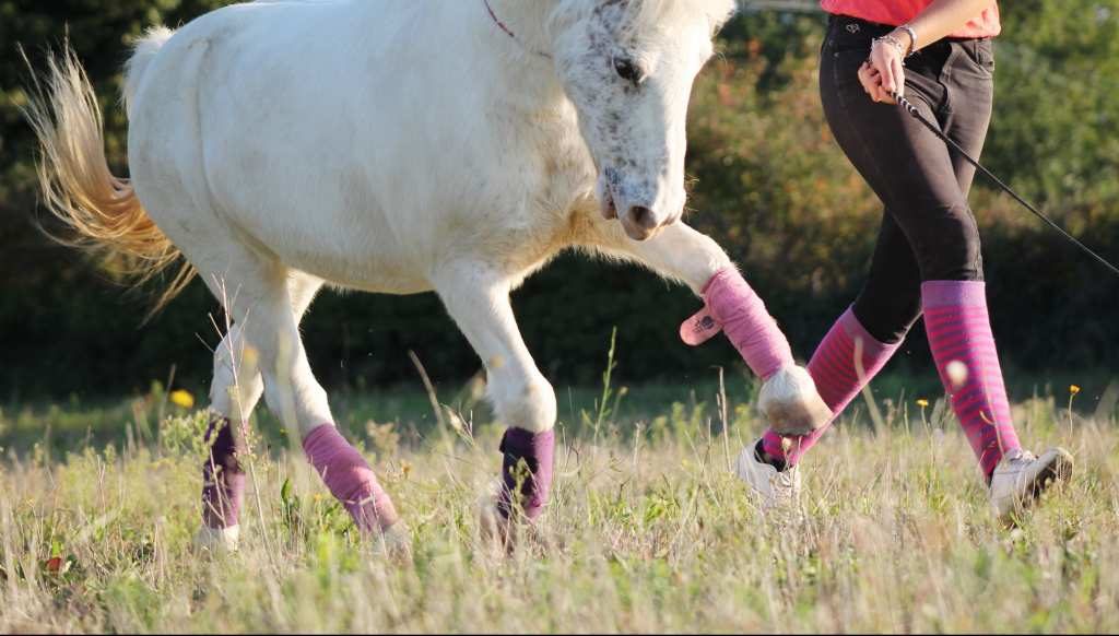 Les chaussettes d’équitation à rayures, elles assurent ! Les chaussettes d’équitation à rayures, elles assurent !