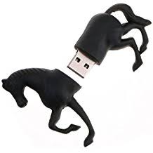 clef usb cheval