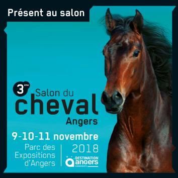 Dernier Jour Salon Du Cheval The Best Undercut Ponytail