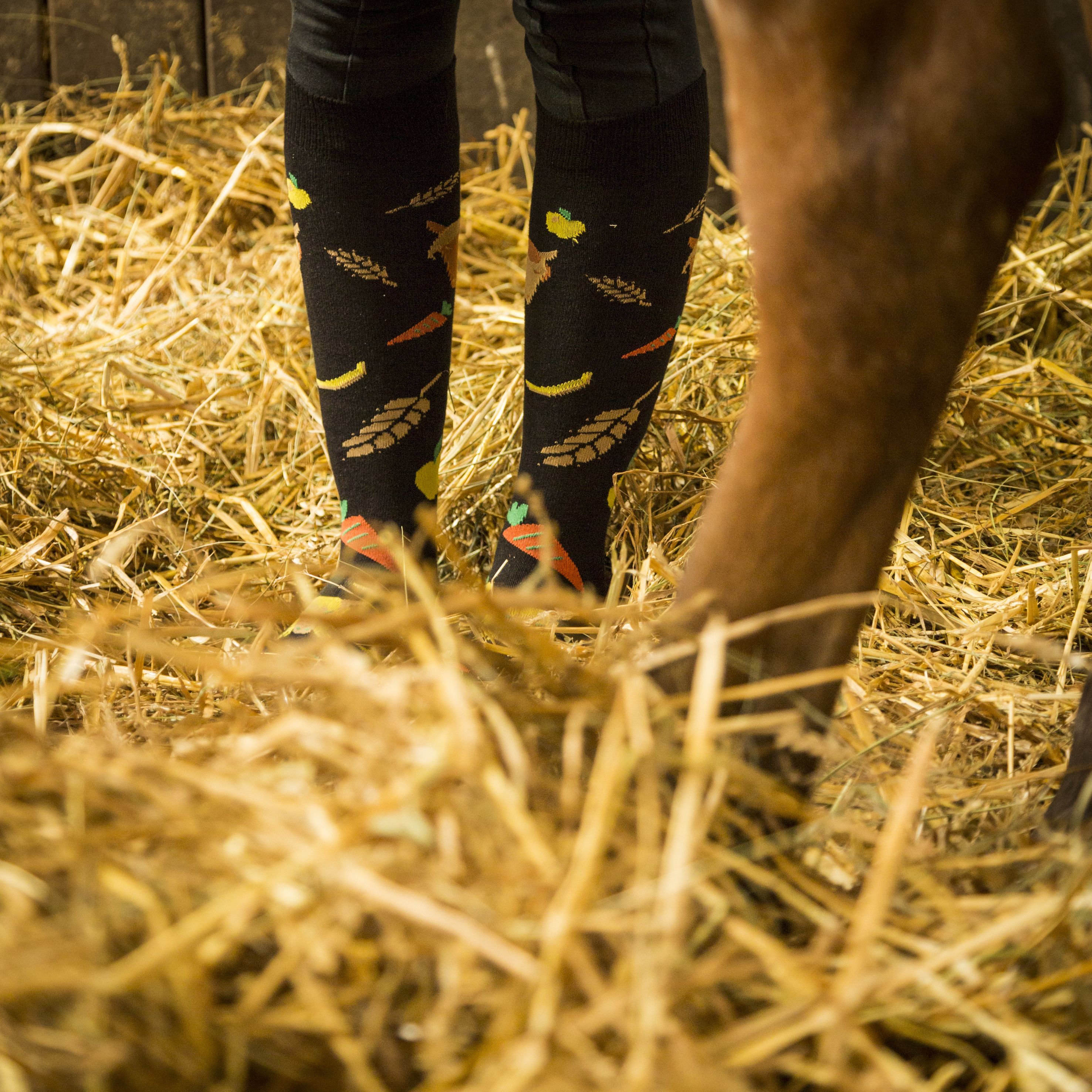 entretenir la litière du box d'un cheval