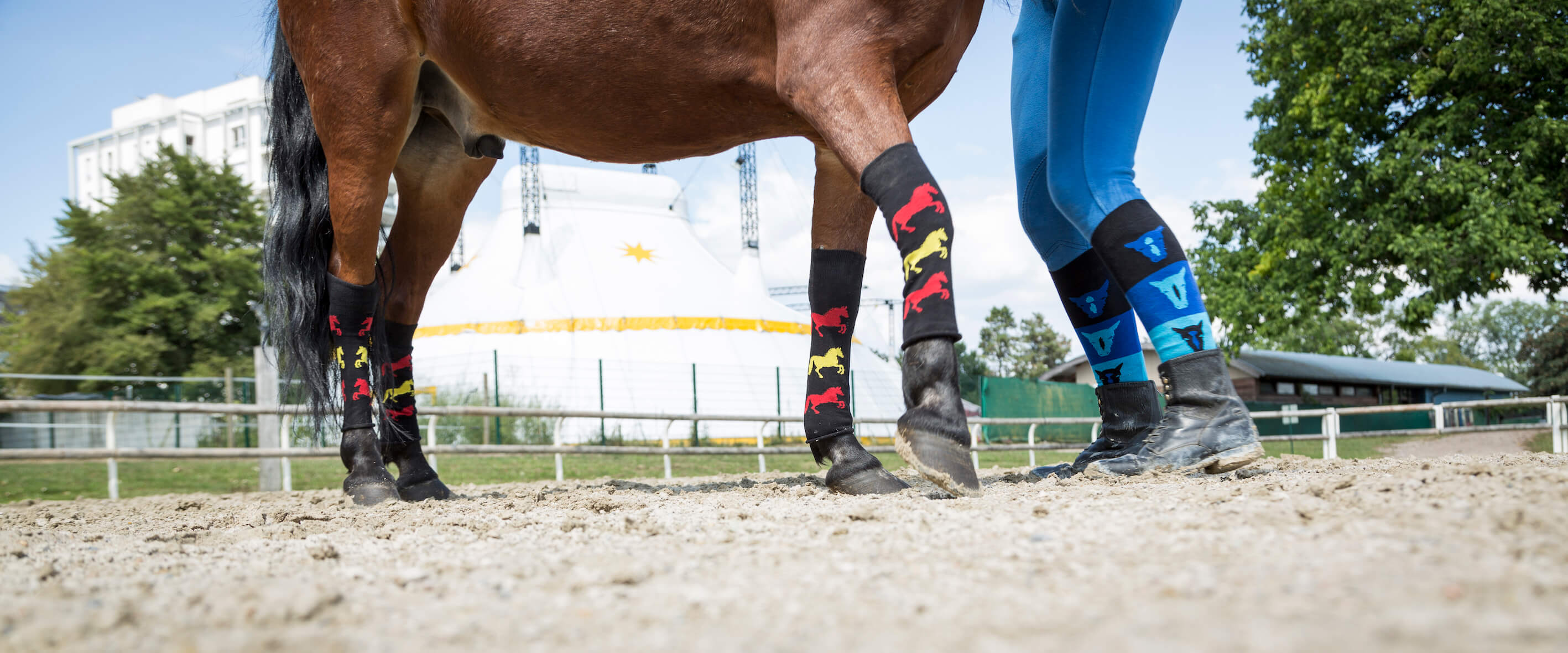 chaussettes motif cheval