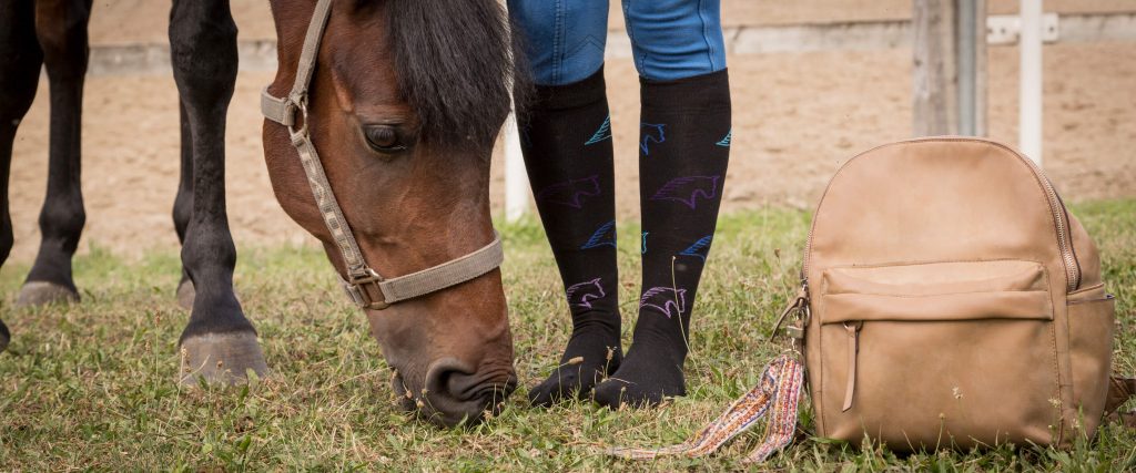 chaussettes noires chevaux