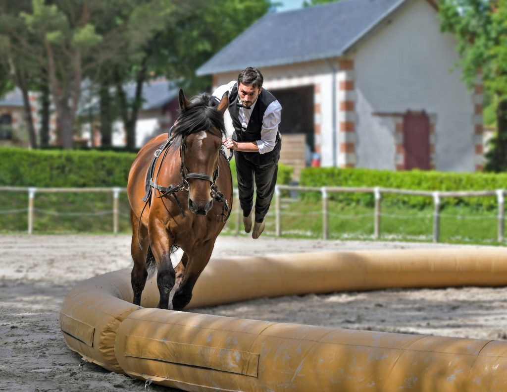 Kozysocks Le Blog A Cheval Sur Les Conseils En Equitation Kozysocks Le Blog A Cheval Sur Les Conseils En Equitation
