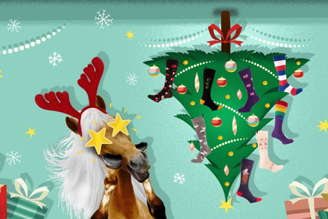 Offre de chaussettes KozySocks pour Noël équestre